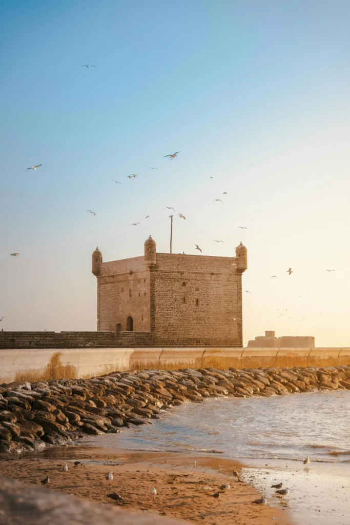 Seagulls flying over Essaouira’s iconic seawall and fortifications, capturing the essence of Things to do in Essaouira.