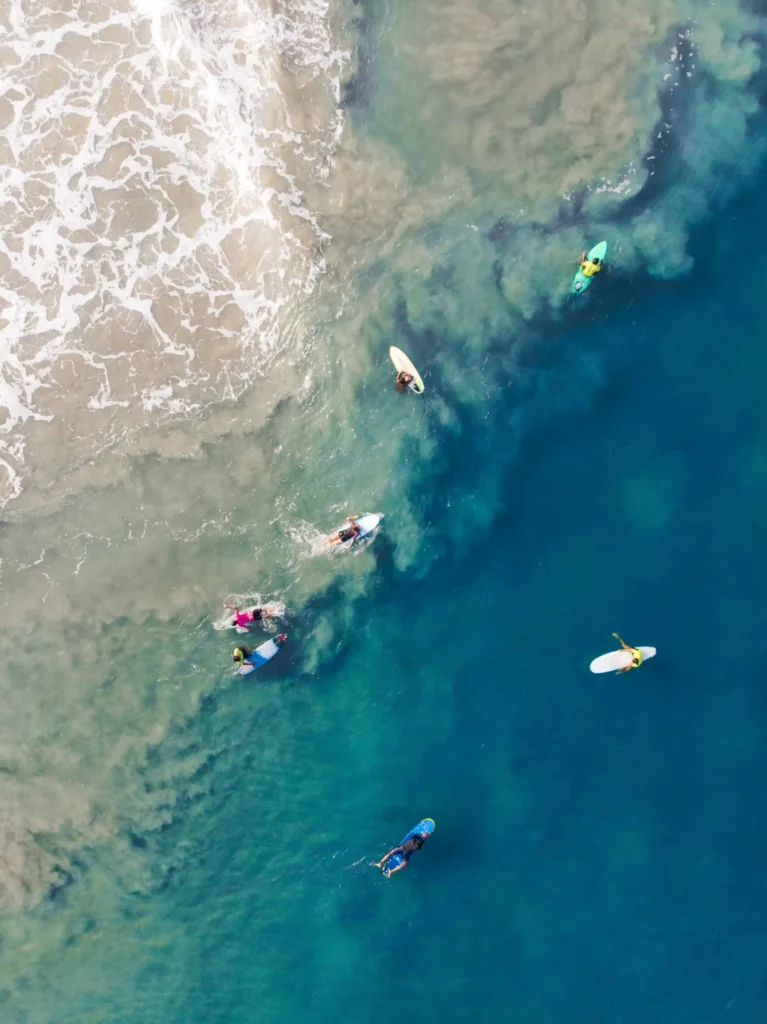 beginners and advanced surfers from winter swells to summer fun waves